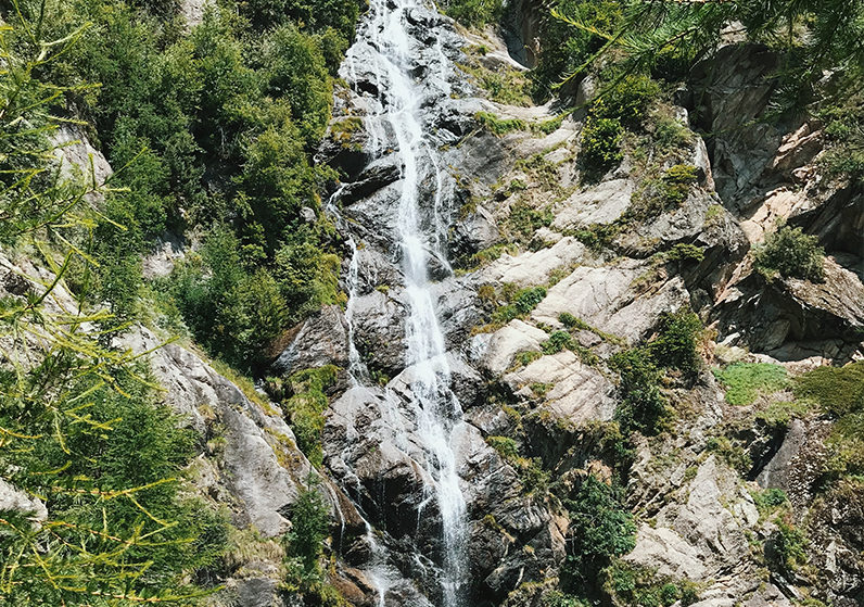 No Hiking In The Rwandan Jungle