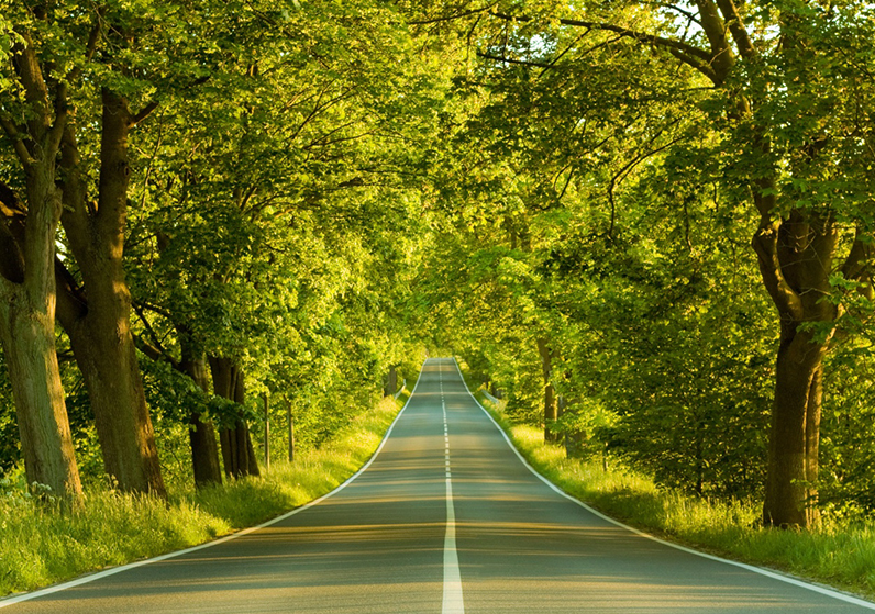 3/3: What Did You Notice As You Answered The Questions?