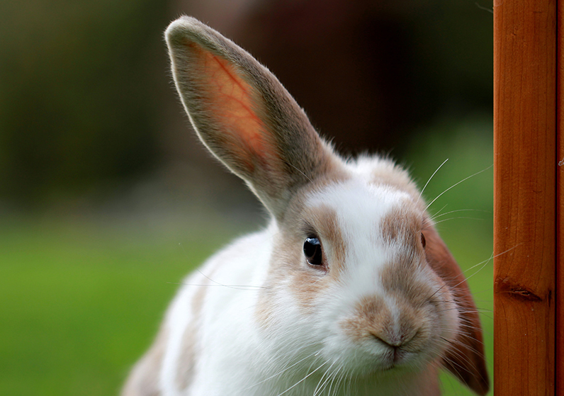 Be Careful Who You Talk To About What You Want